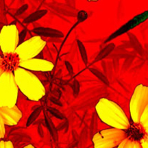 专业工具集的DDOS攻击测试